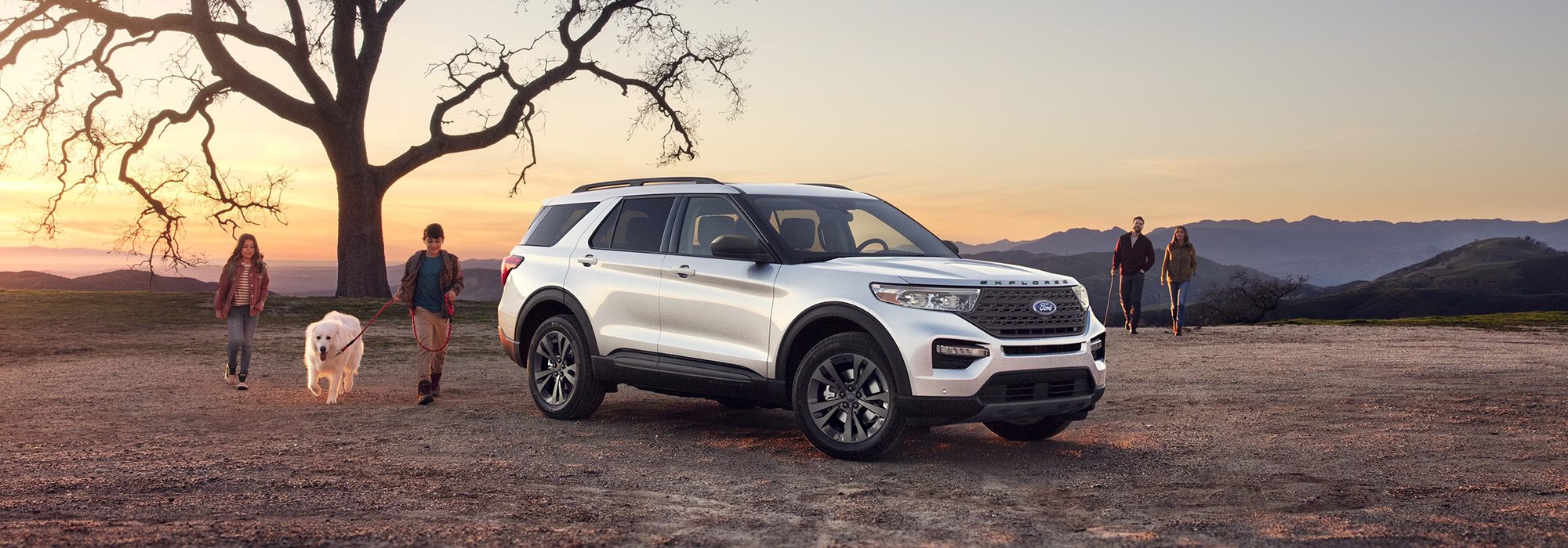 Vehicles for Large Families