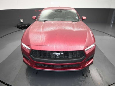 2025 Ford Mustang EcoBoost