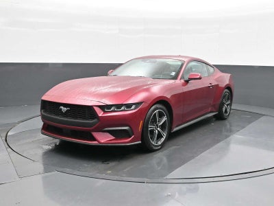2025 Ford Mustang EcoBoost