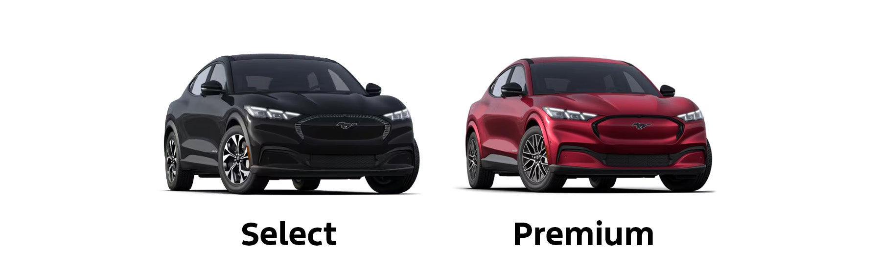 Ford Mustang Mach-E Trim Levels