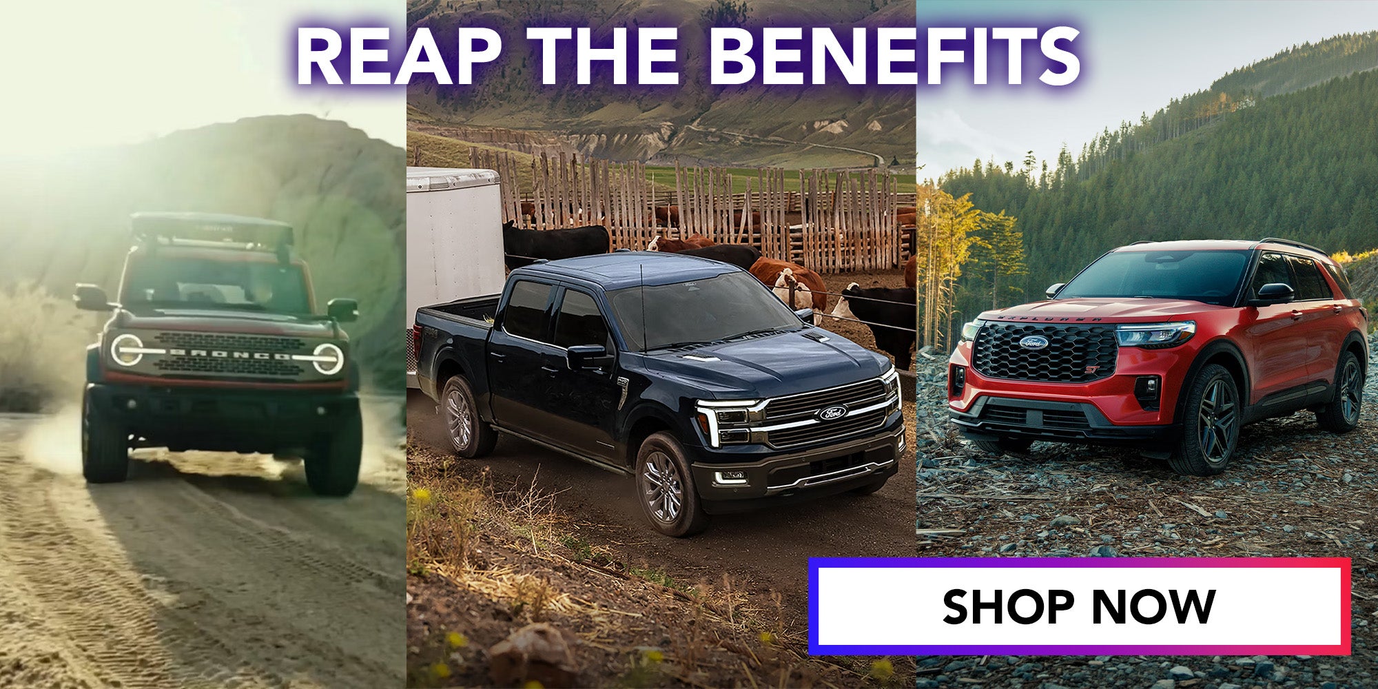 Section 179 benefits